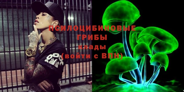 хмурый Балахна