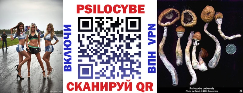 Галлюциногенные грибы Magic Shrooms  Ессентуки 